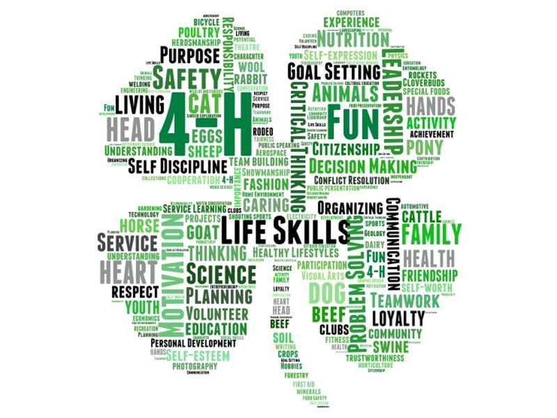 Logo for 2024 Brookings County 4-H