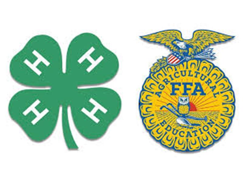 Logo for 2024 Schuylkill County 4-H/FFA Fair & Round-Up